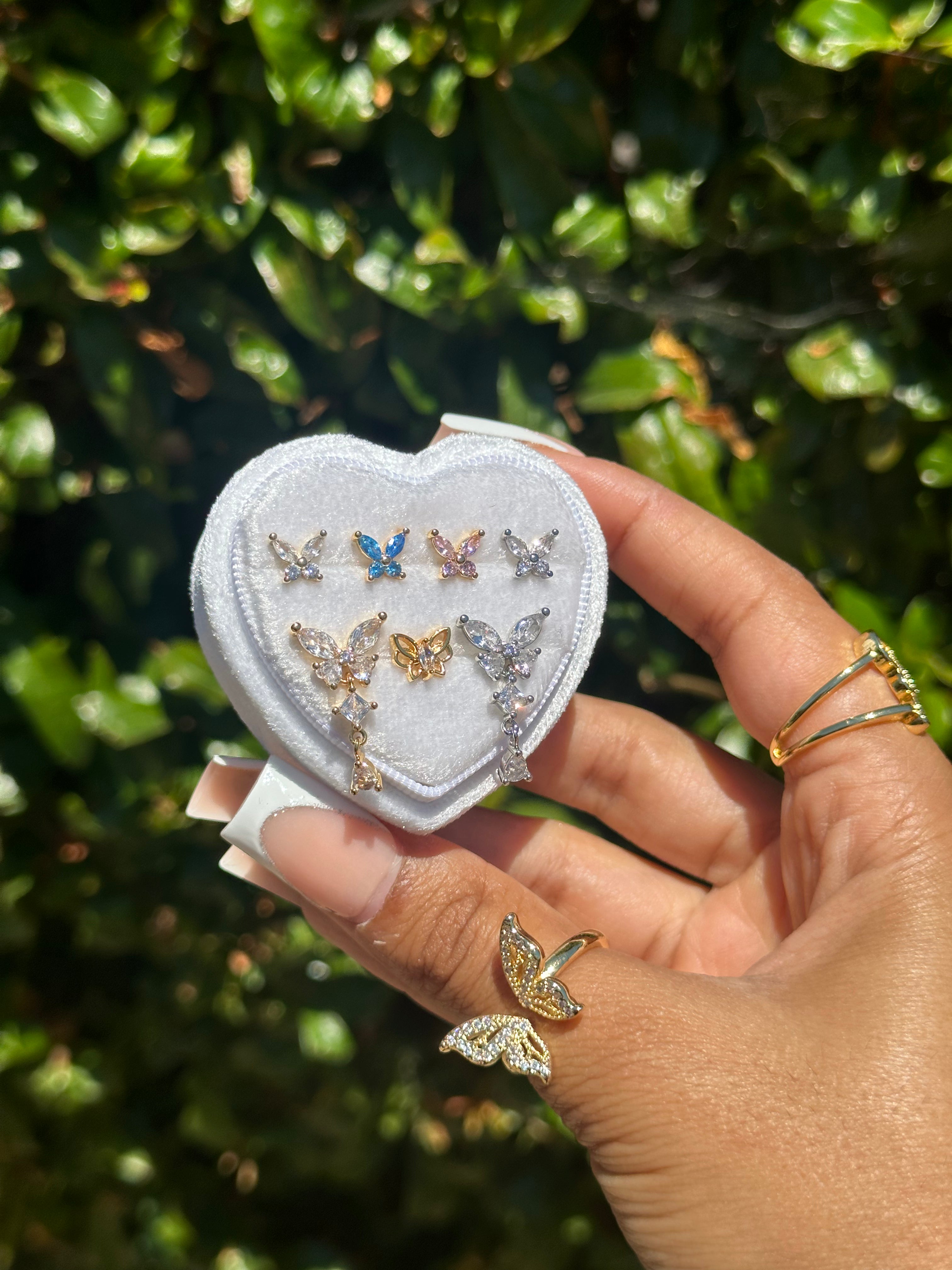 Butterfly Collection