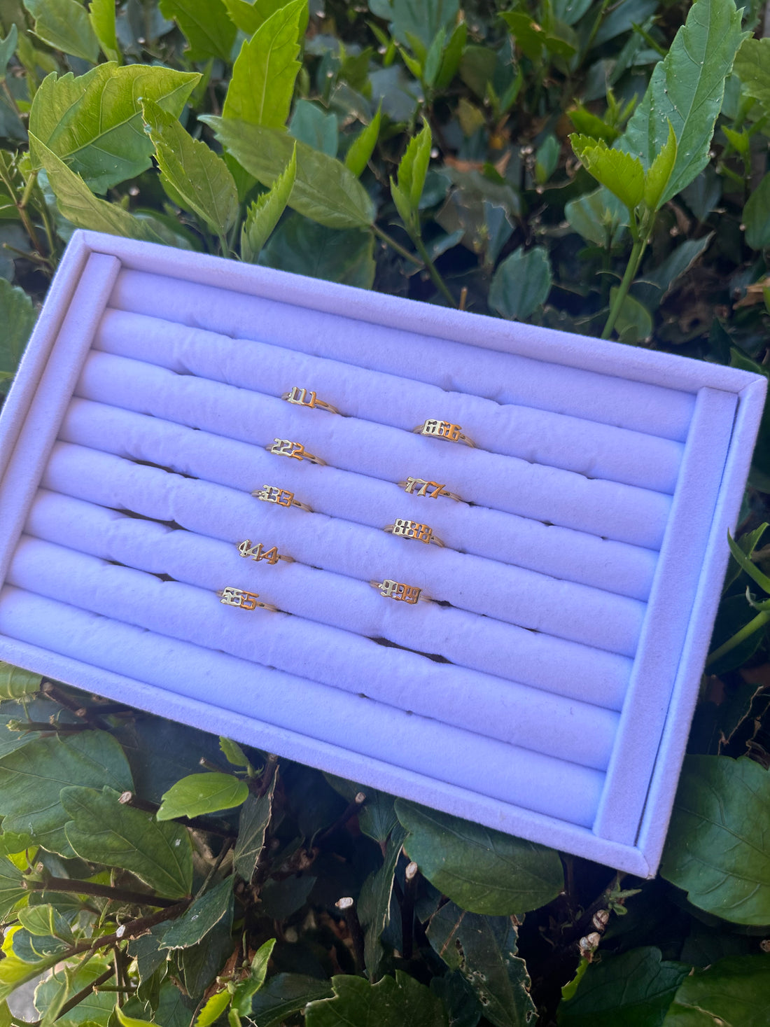 Angel Number Ring