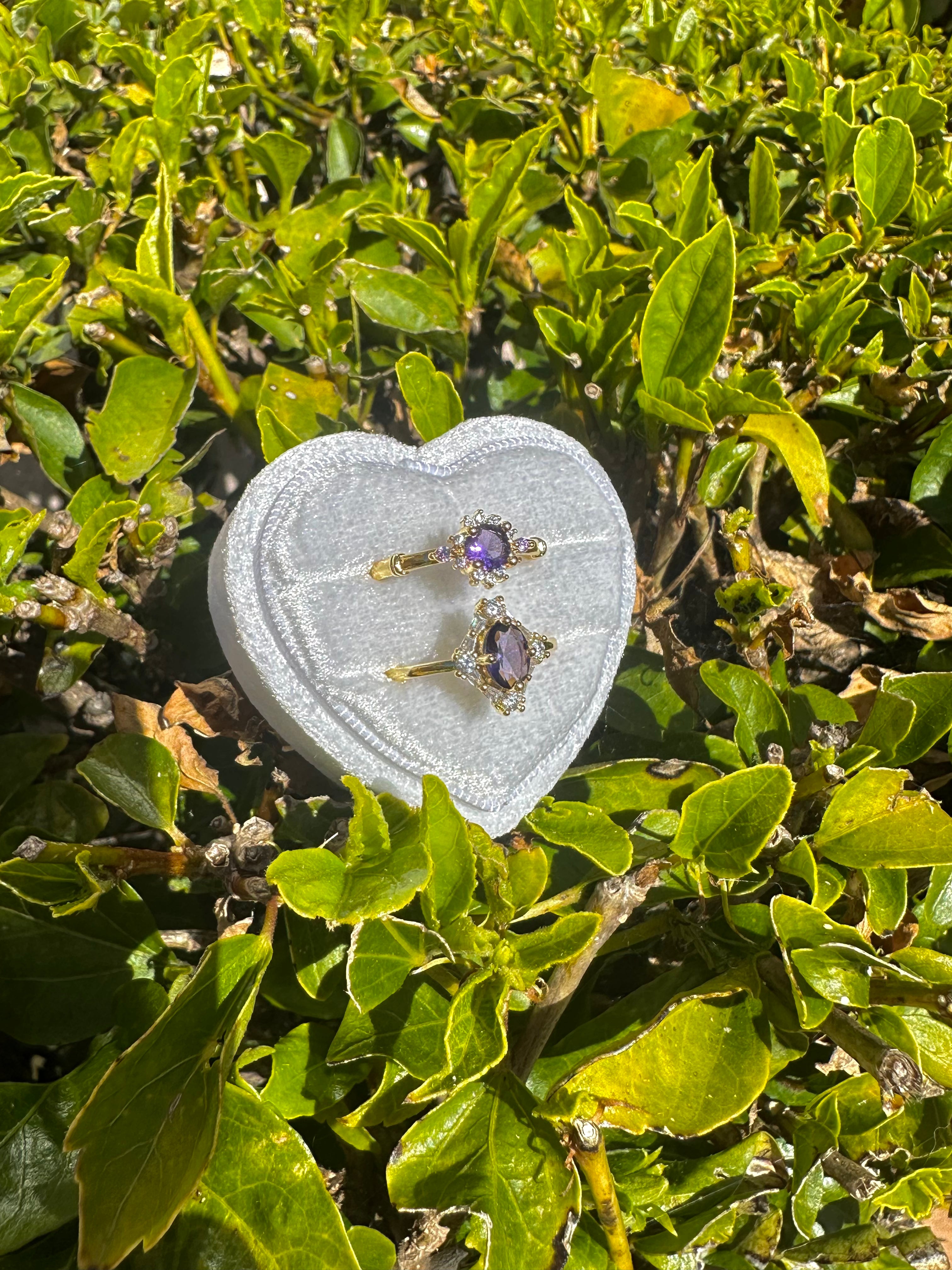 Conjunto de anillos Sumire