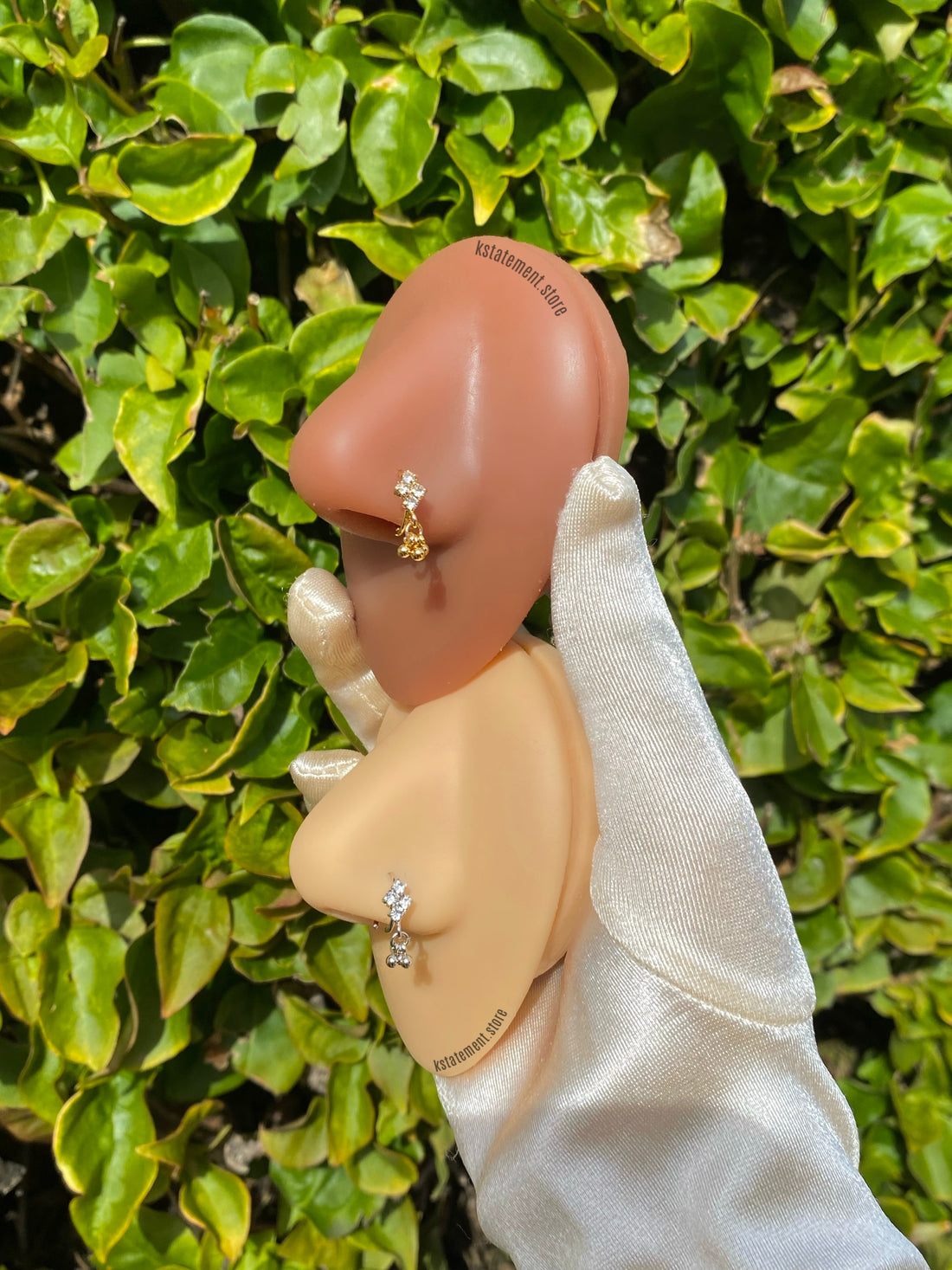 Aro de nariz reinado