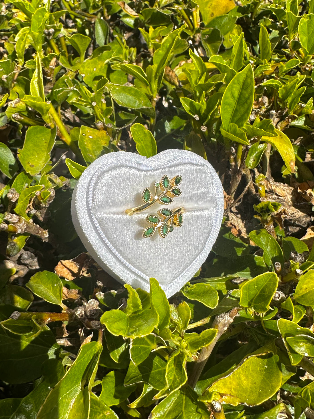 Anillo de la Diosa Aranyani